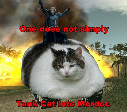 onedoesnottankmordor.jpg ht=443