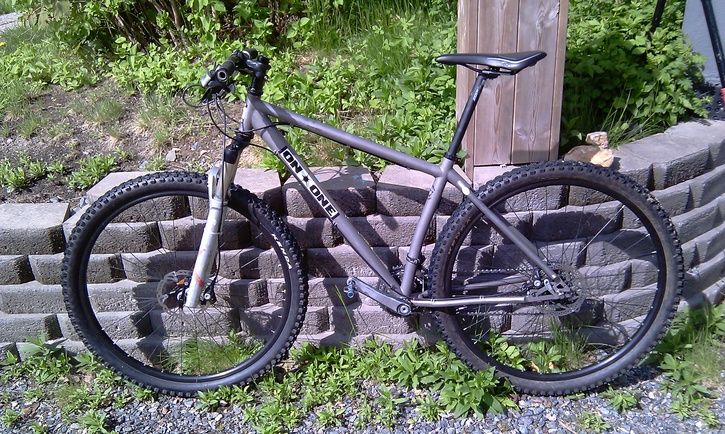 OnOneTi29er.jpg