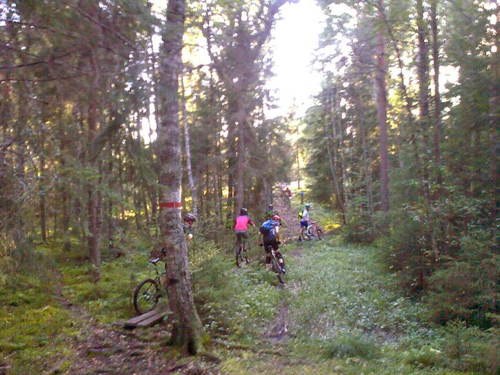 onsdag_07.jpg ht=544