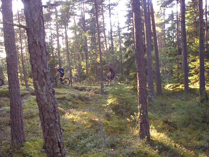 onsdag_12.jpg ht=544