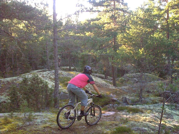 onsdag_14.jpg ht=544