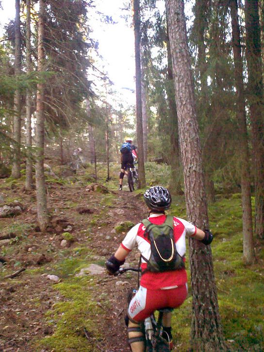 onsdag_26.jpg ht=725