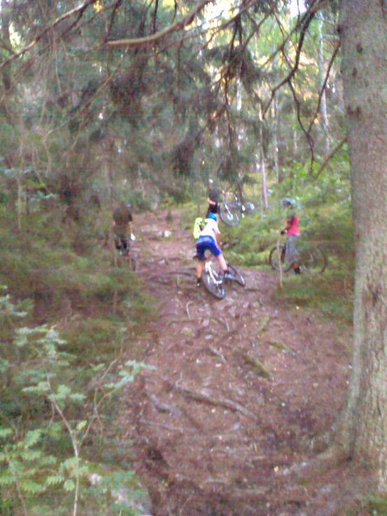 onsdag_32.jpg ht=725