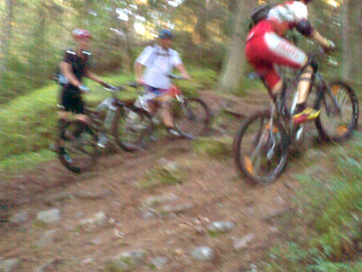 onsdag_38.jpg ht=544