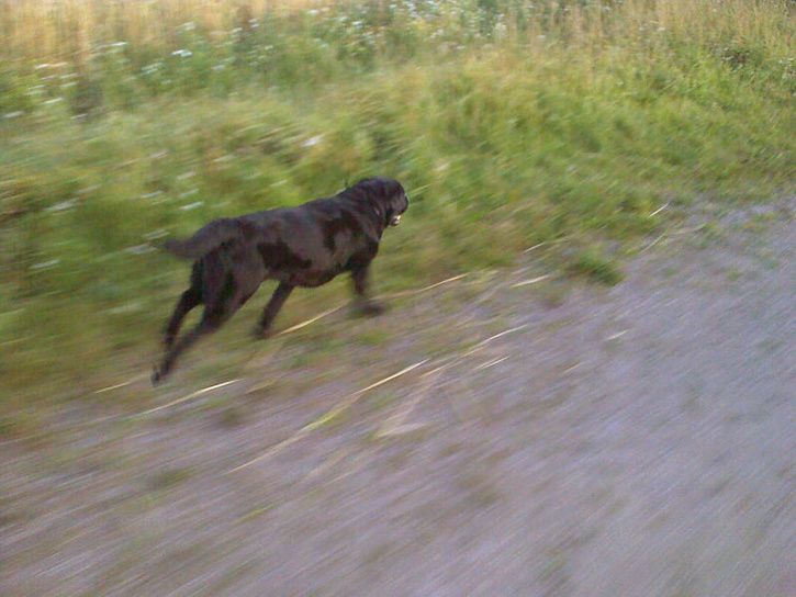 onsdag_41.jpg ht=544