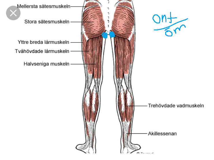 ontirumpan1.png