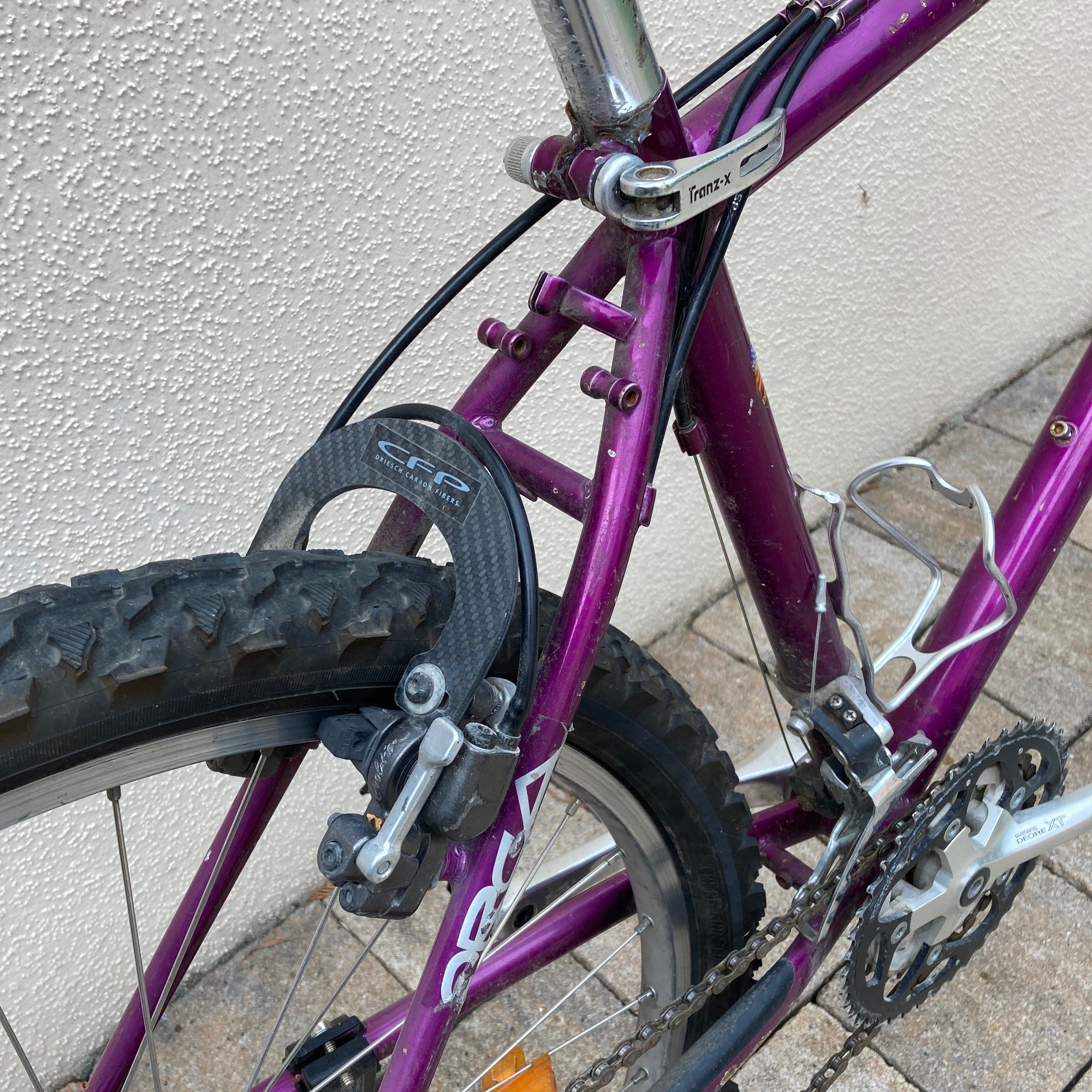 Orca-Ohio - 1 (11).jpeg