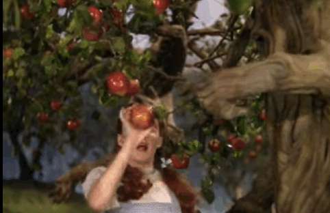 oz39.gif