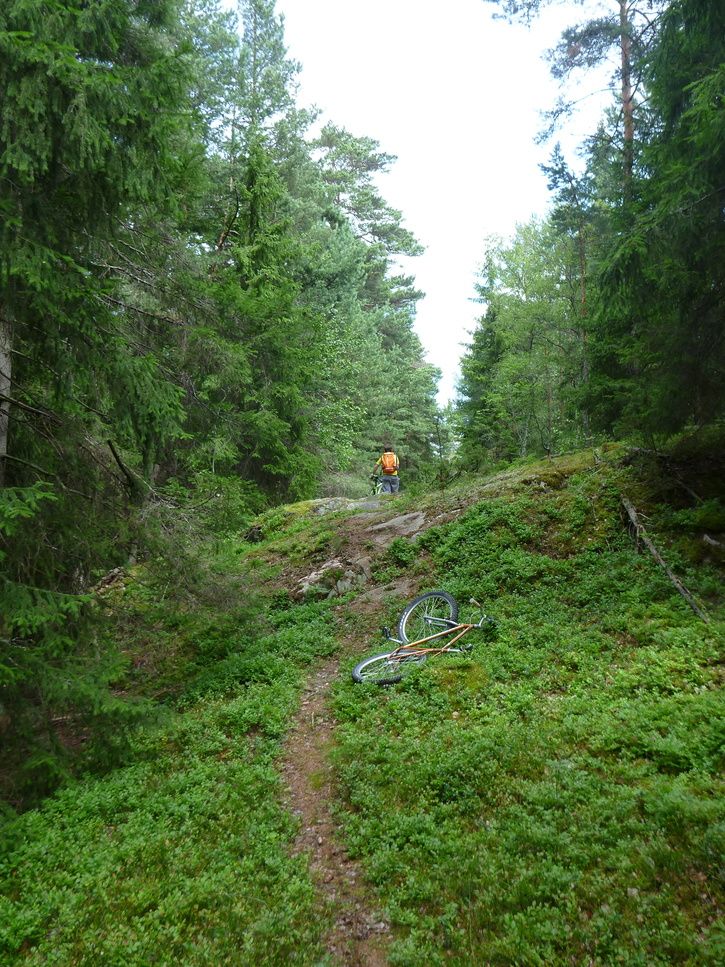 P1000016.jpg