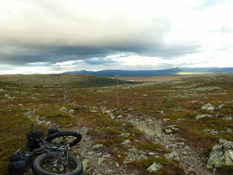 P1000116800x600.jpg