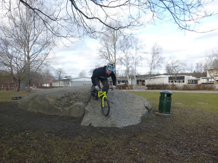 P1000175.jpg