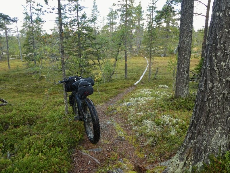 P1000186800x600.jpg
