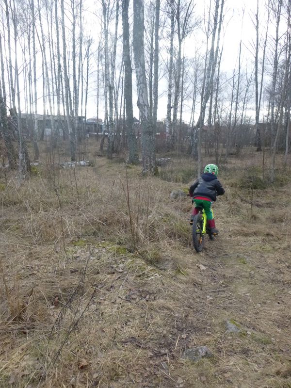 P1000186.jpg