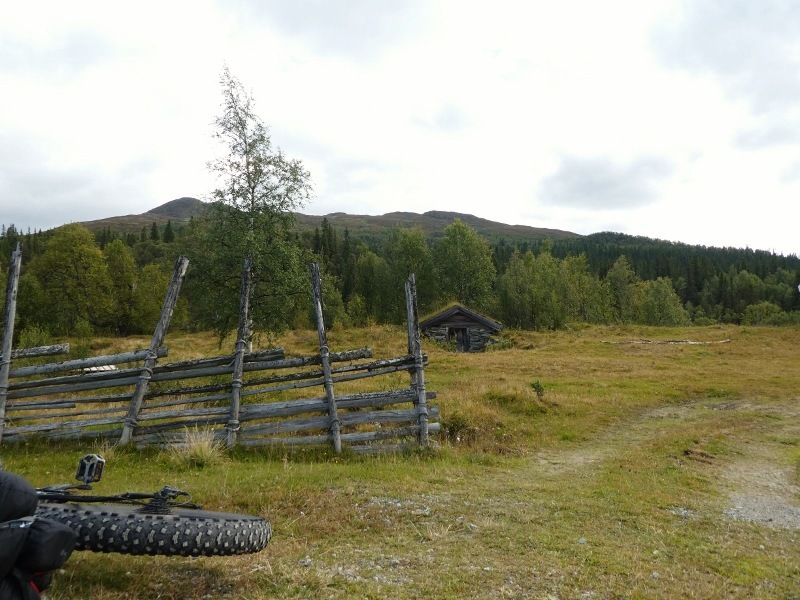 P1000233800x600.jpg