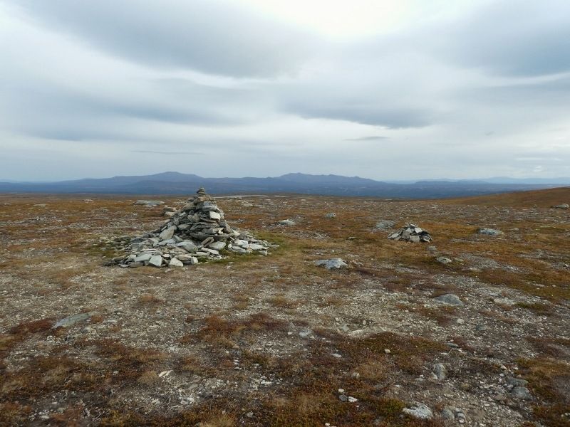 P1000297800x600.jpg