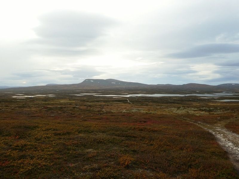 P1000306800x600.jpg