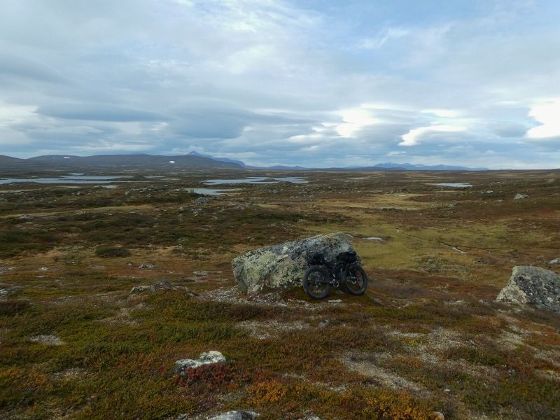 P1000314800x600.jpg