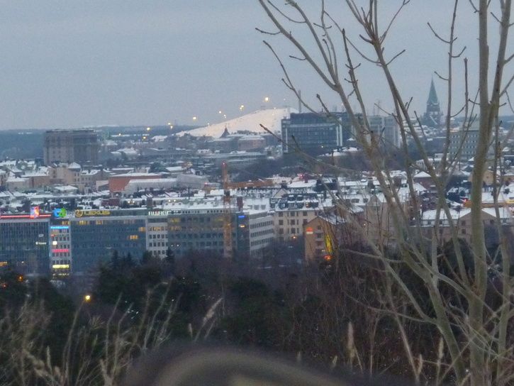 P1000480.JPG ht=544