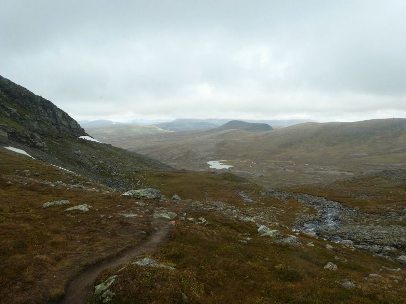 P1000595800x600.jpg