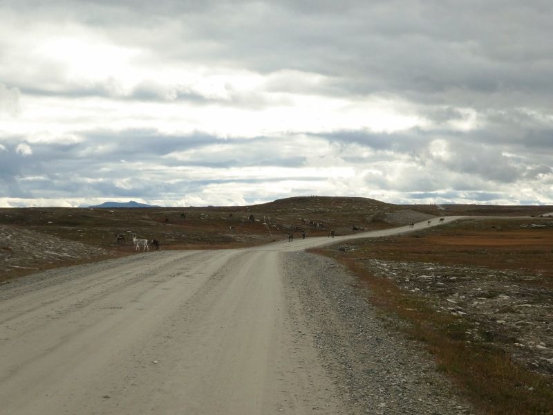 P1000674800x600.jpg