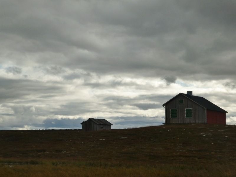 P1000687800x600.jpg