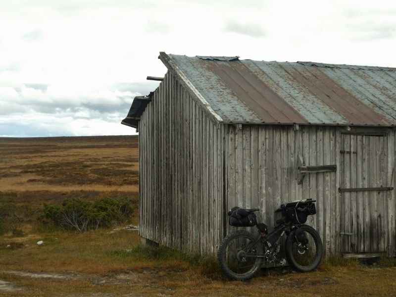 P1000690800x600.jpg