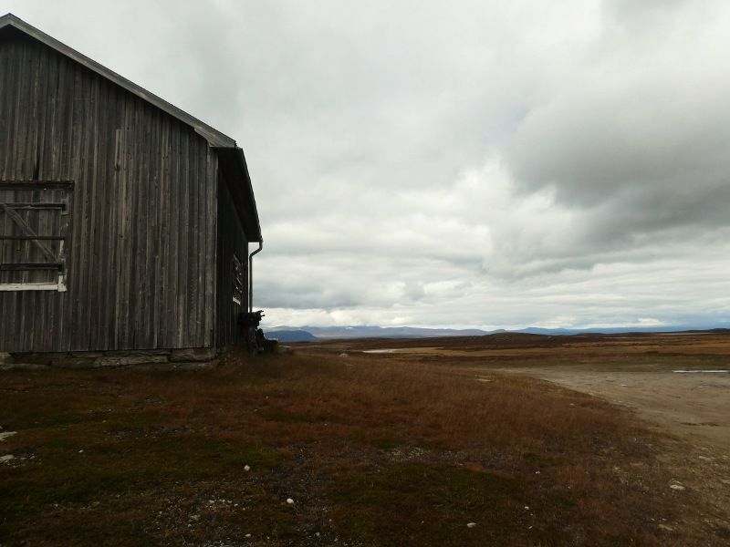 P1000694800x600.jpg