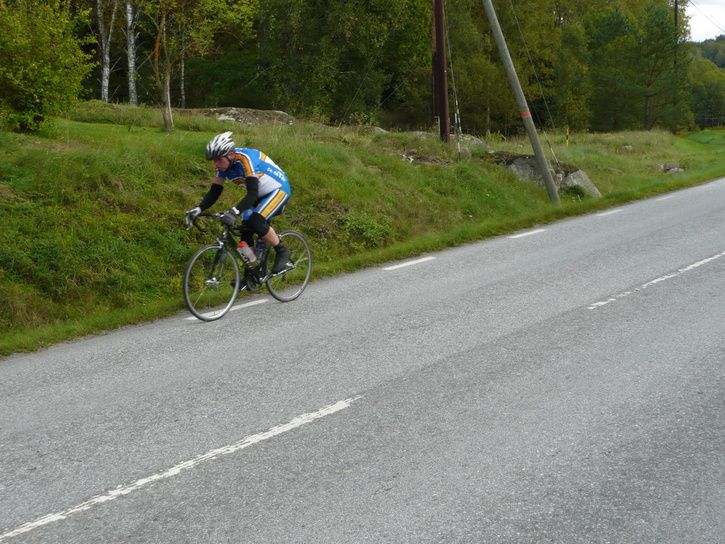 P1000731.JPG ht=544