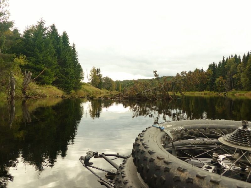 P1000823800x600.jpg