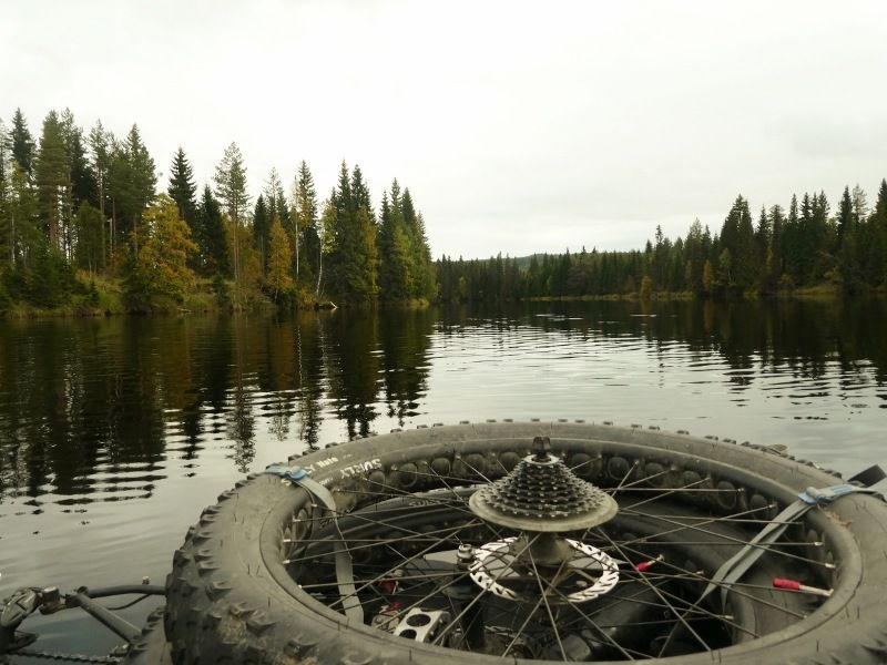 P1000835800x600.jpg