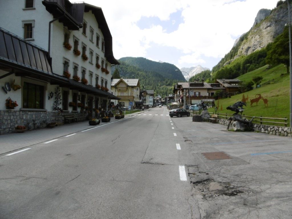 P1000882Medium.jpeg