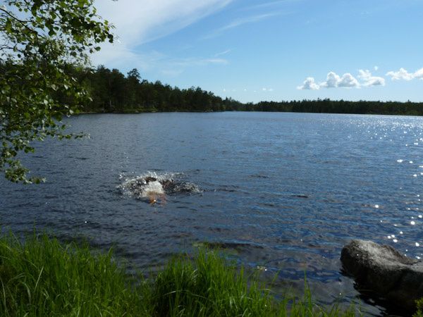 P1000886_x.jpg ht=450