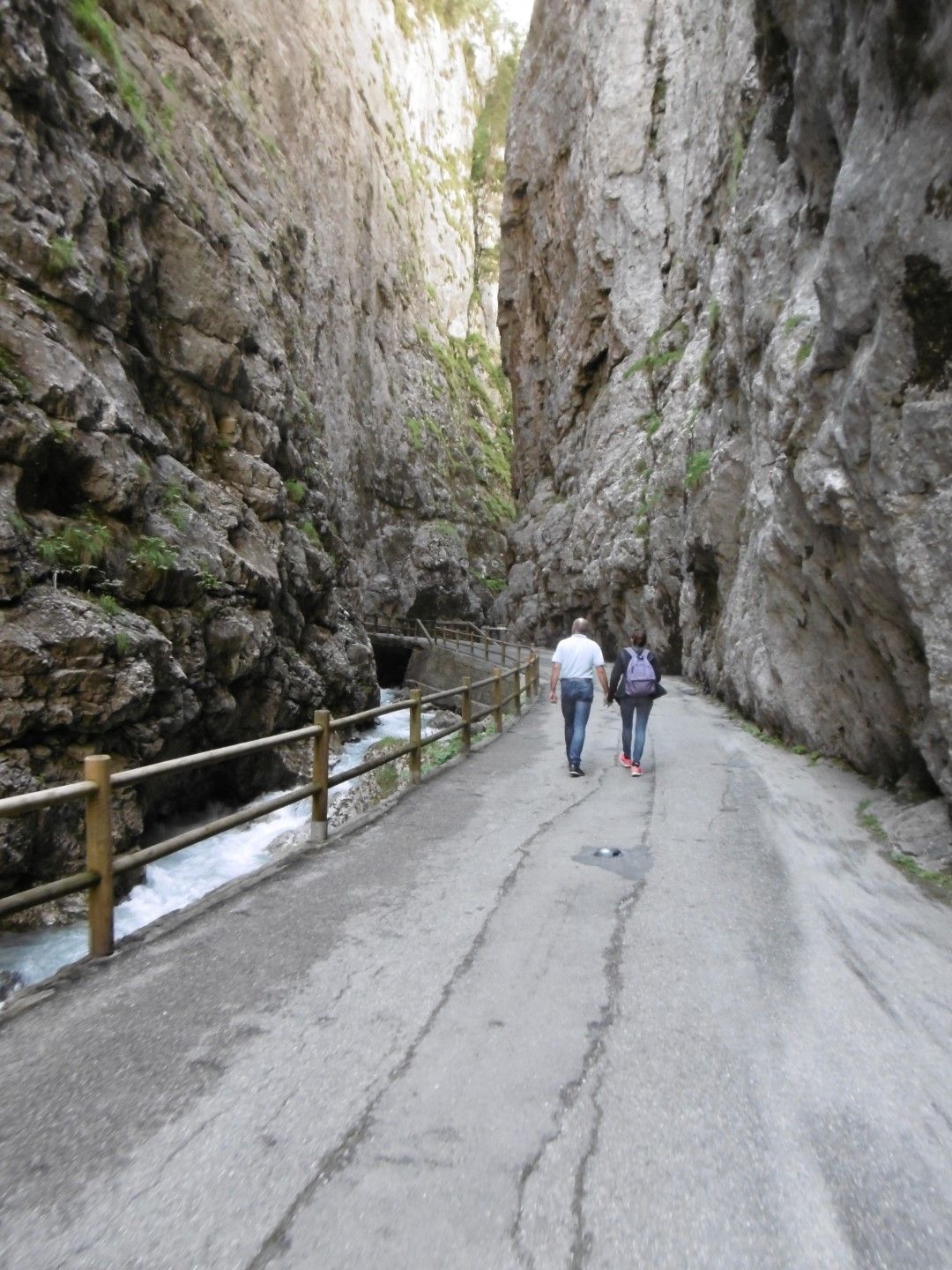 P1000889 (Large).JPG