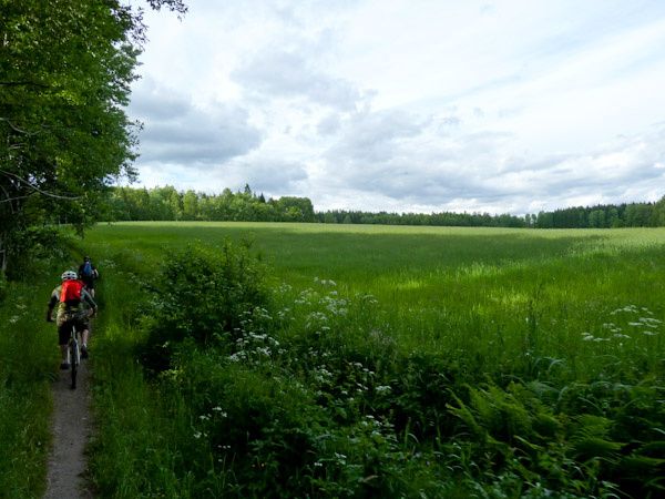 P1000891_x.jpg ht=450
