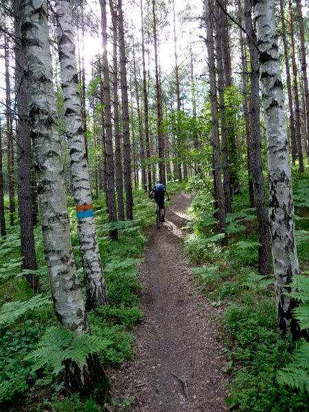 P1000896_x.jpg ht=600