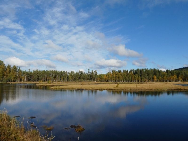 P1010014800x600.jpg