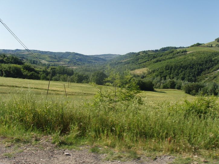 P1010022.JPG