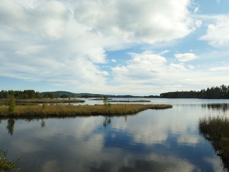 P1010036800x600.jpg