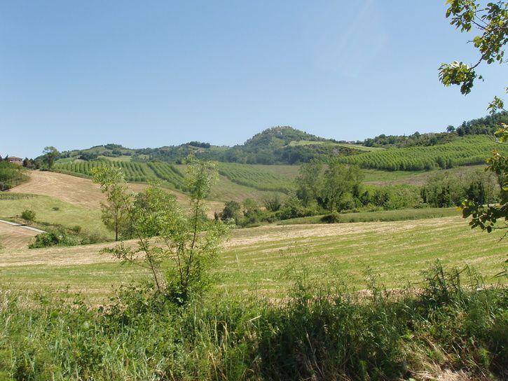 P1010036.JPG