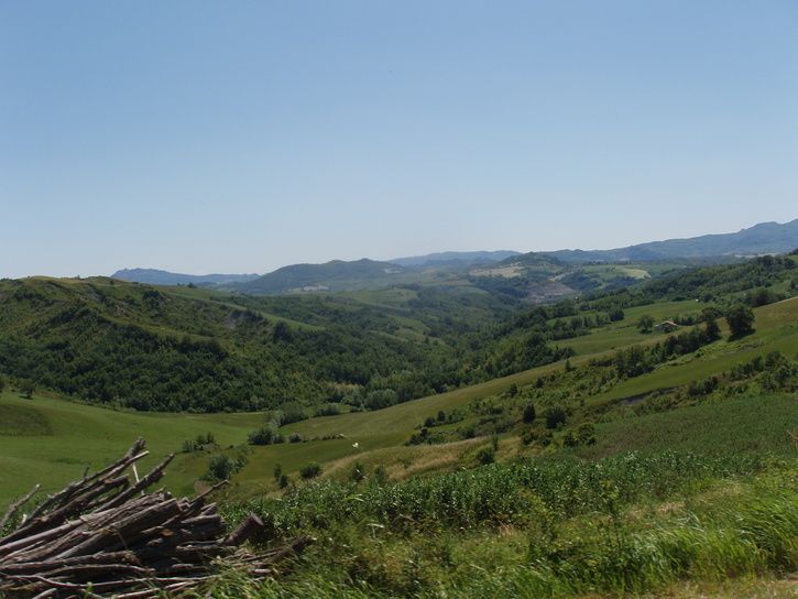 P1010038.JPG