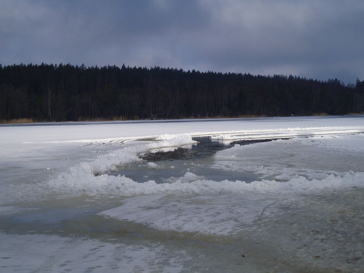 P1010041.JPG ht=544