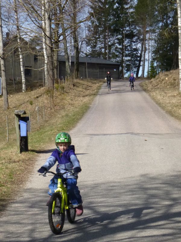 P1010068.jpg