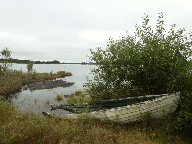 P1010073800x600.jpg