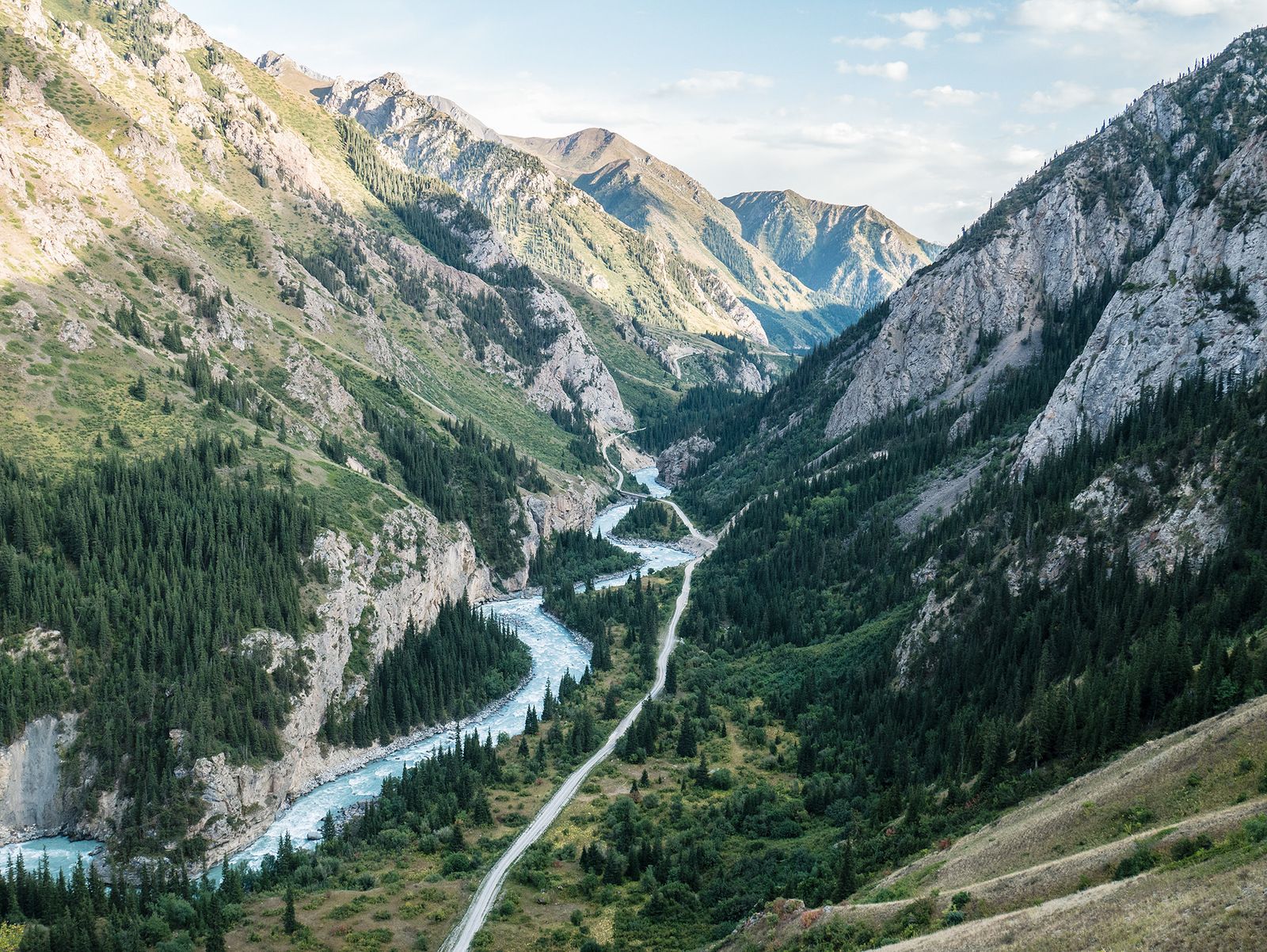 P1010078copy.jpg