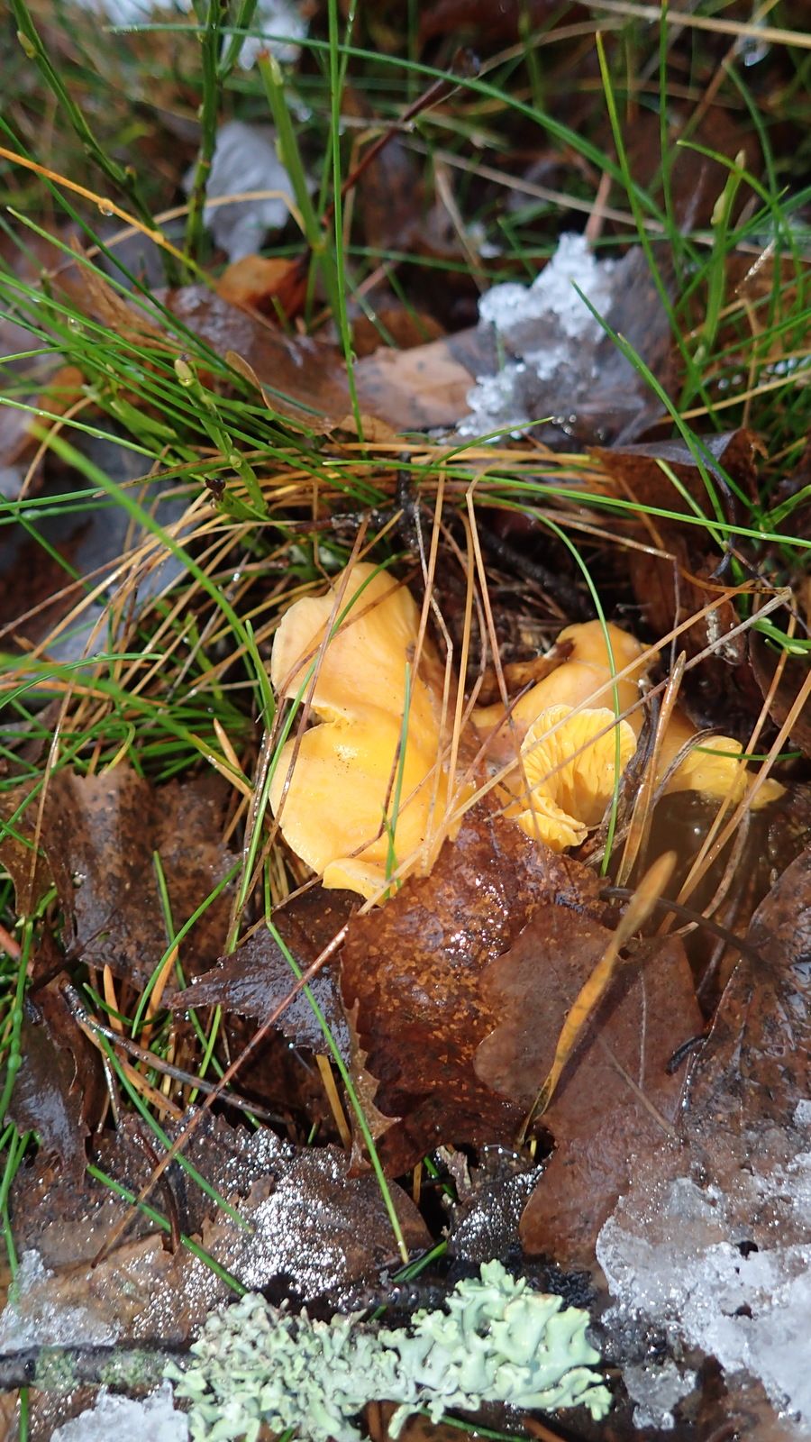 P1010087.JPG
