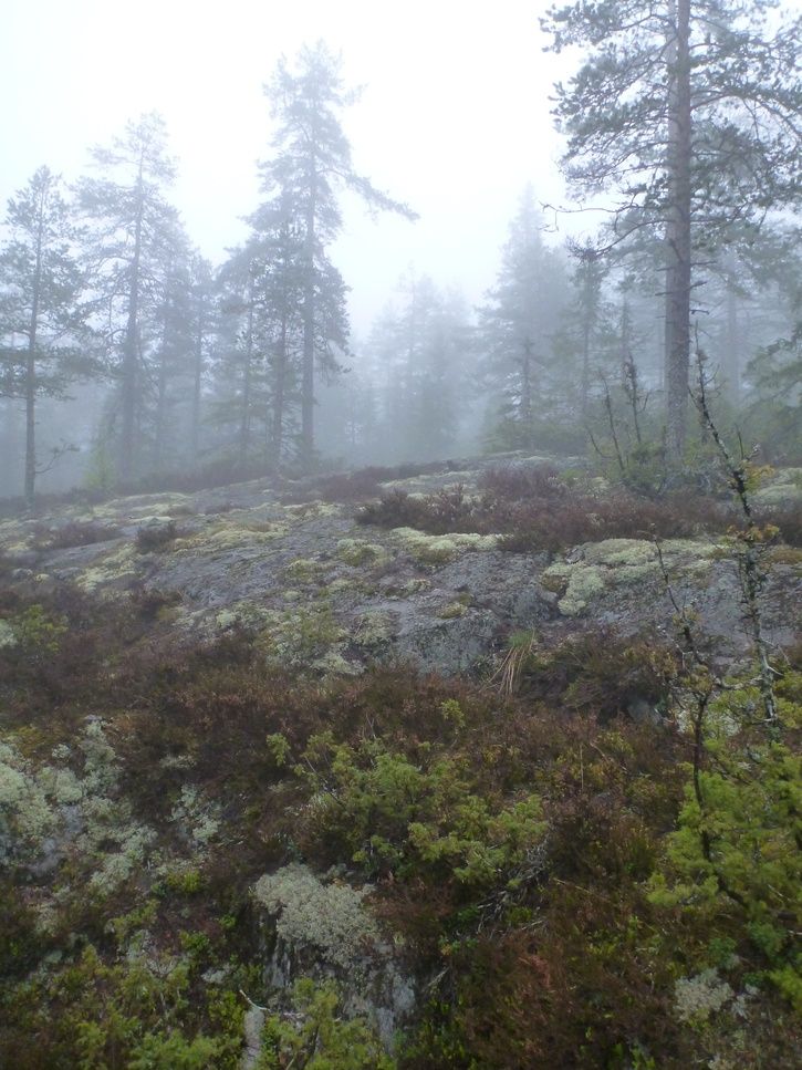 P1010102.JPG