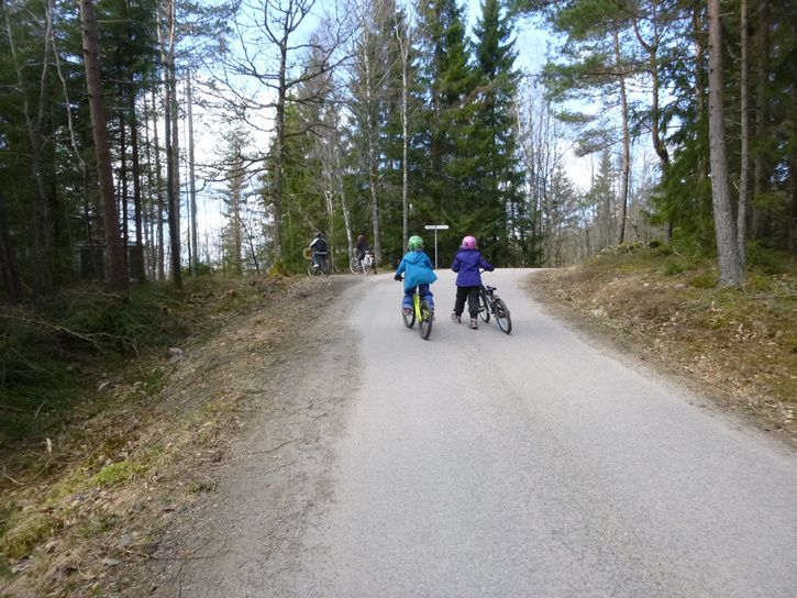 P1010107.jpg