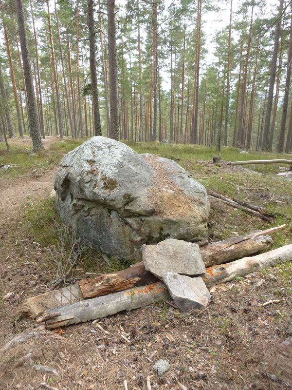 P1010136.jpg