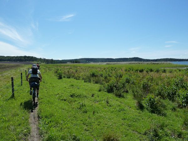 P1010142_x.jpg ht=450