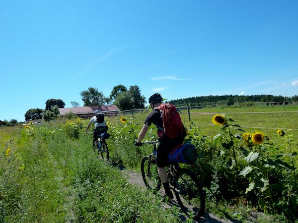 P1010151_x.jpg ht=450